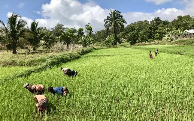 The organization also carries out projects to offer employment to female workers in the country.