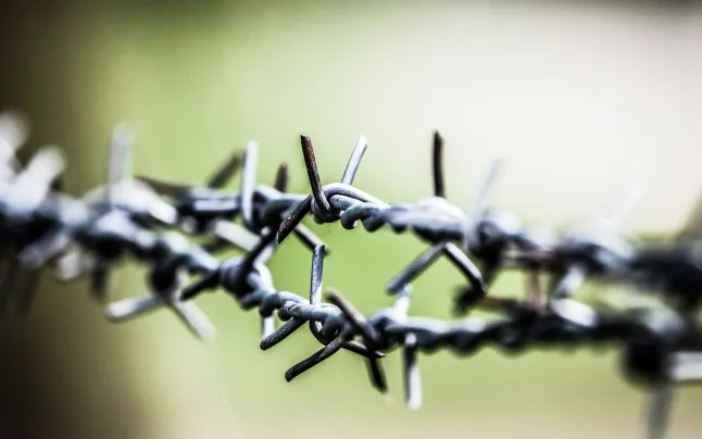 The new migration regulation is key to completing a new Migration and Asylum Pact in the European Union (EU).