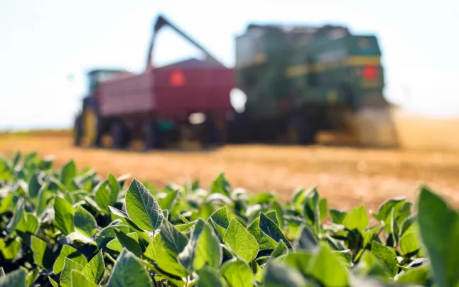 In Palestine, thanks to the Palestinian Farmer's Union, pilot projects are already being developed to address the effects of climate change on agriculture.
