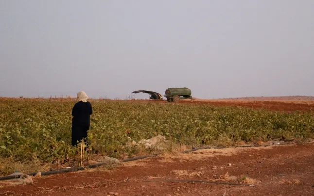 The Mediterranean regions suffer from extreme conditions due to climate change, which requires adapting agriculture.