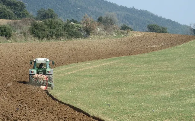 Countries in the Mediterranean like Egypt, Syria, Jordan, Tunisia, and Palestine are experiencing the consequences of climate change in agriculture.