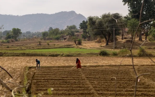 Kolam has been working in India for the past 10 years looking for solutions that can improve the lives of the people living there.