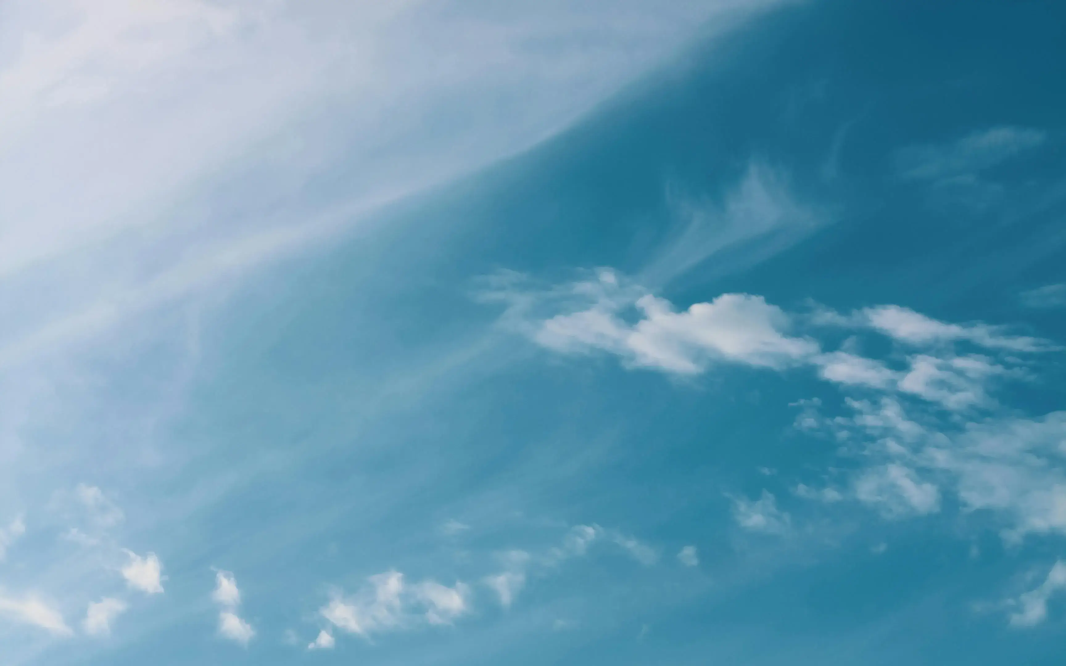 pexels-dariuskrs-2931915.jpg