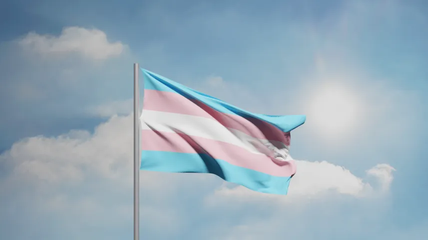 Every March 31, International Transgender Day of Visibility is observed.