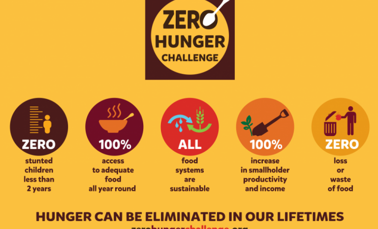 5 points proposed by Zero Hunger. Image: The Hunger Project UK
