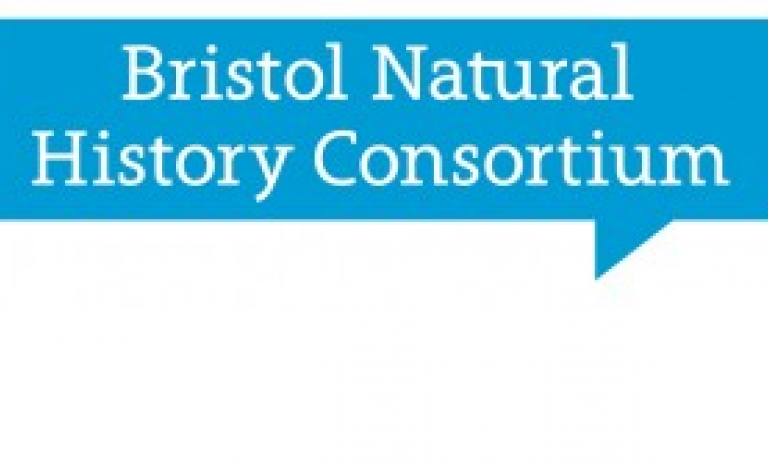 The Consortium members include some of the UK’s leading environmental NGO’s, policy-making bodies, educational establishments and media bodies.