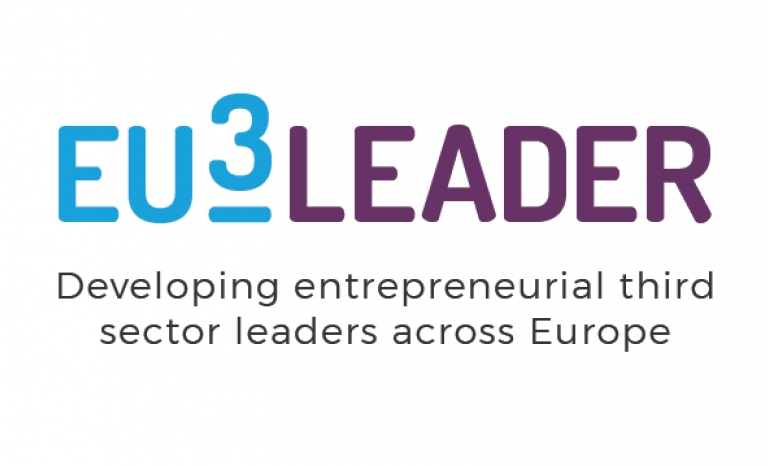 Eu3leader's trademark.