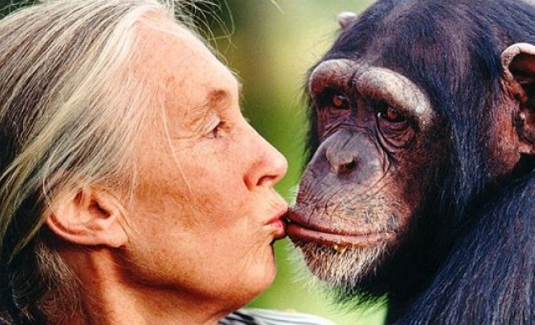 Jane Goodall is a teacher who inspires