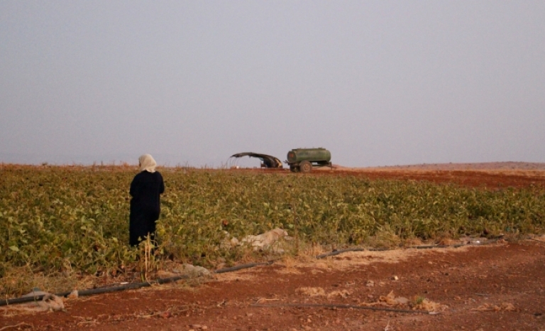 The Mediterranean regions suffer from extreme conditions due to climate change, which requires adapting agriculture.