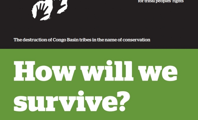"How will we survive?" report. Image: Survival International