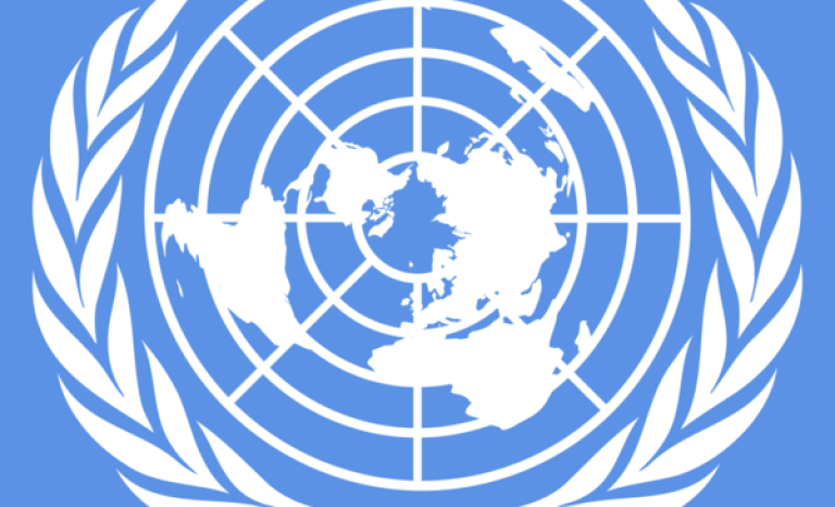 UN Logo: Image: Wikimedia Commons