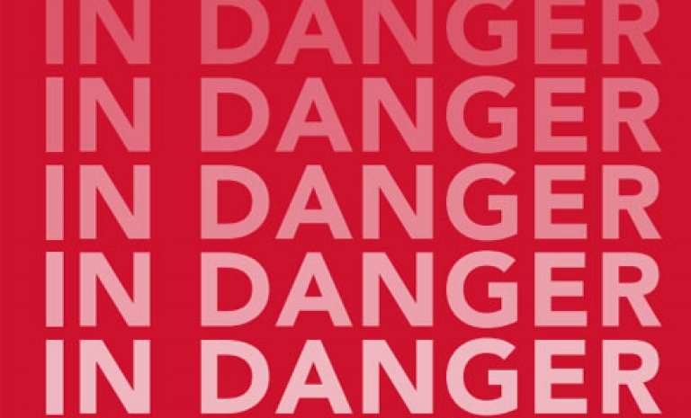 Cover of "In danger" report. 