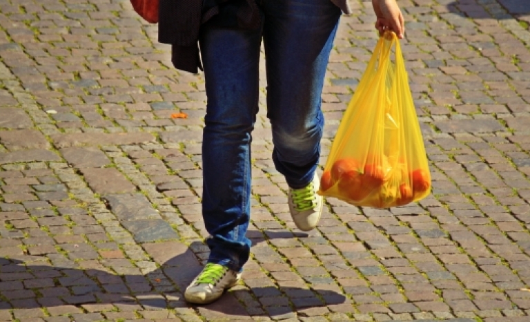 A person carrying grocery shopping in a plastic bag.
