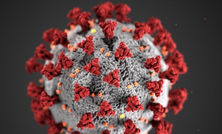 Coronavirus has generated an unprecedented social and health crisis. 
