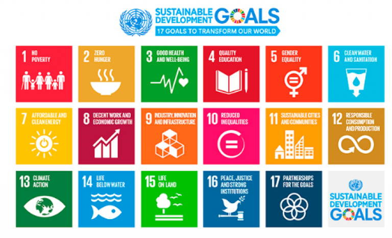 17 Sustainable Development Goals.    Source: UE