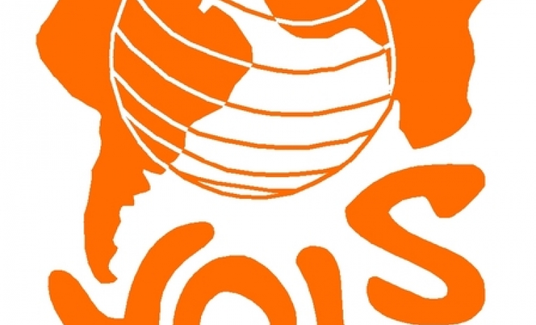 Vols Logo. Image: Vols