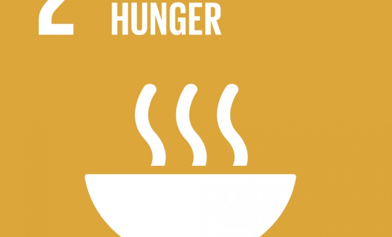 Zero Hunger image. Image: World's Largest Lesson